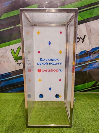 аттракцион летающие деньги